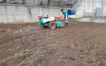 공동텃밭가꾸기 이미지